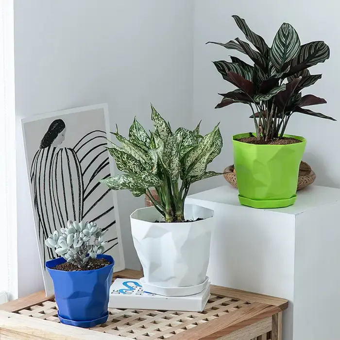 Pot de fleurs décoratif Durable, Stable, respirant, plantes succulentes, jardinière de pépinière avec plateau pour la maison