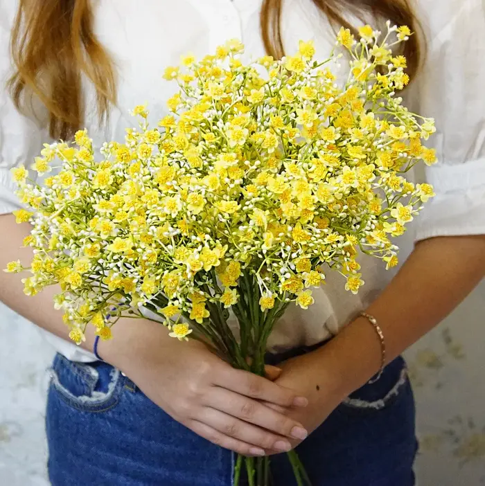Gypsophila mariée tenant des Vases de fleurs en plastique pour la décoration de la maison