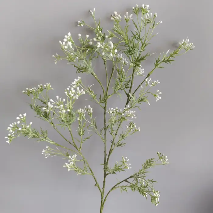 Fleurs artificielles en céleri et gypsophile, 5 pièces/lot, 5 fourcommuniste, pour décoration de mar