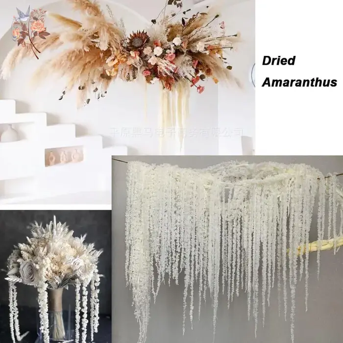 Fleur d'amaranthès suspendue séchée, 5 pièces, centres de table de mariage, structures de cérémonie, décoration d'arc, vrais amoureux blancs, ornements de larmes
