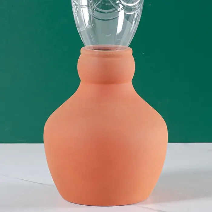 Globes d'arrosage en terre cuite, globes d'arrosage automatique, inserts à libération lente pour pla