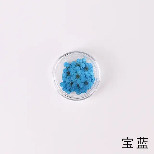 Fleur de prunier de narcisse séchée pressée, 100 pièces, avec boîte pour la fabrication de bijoux en