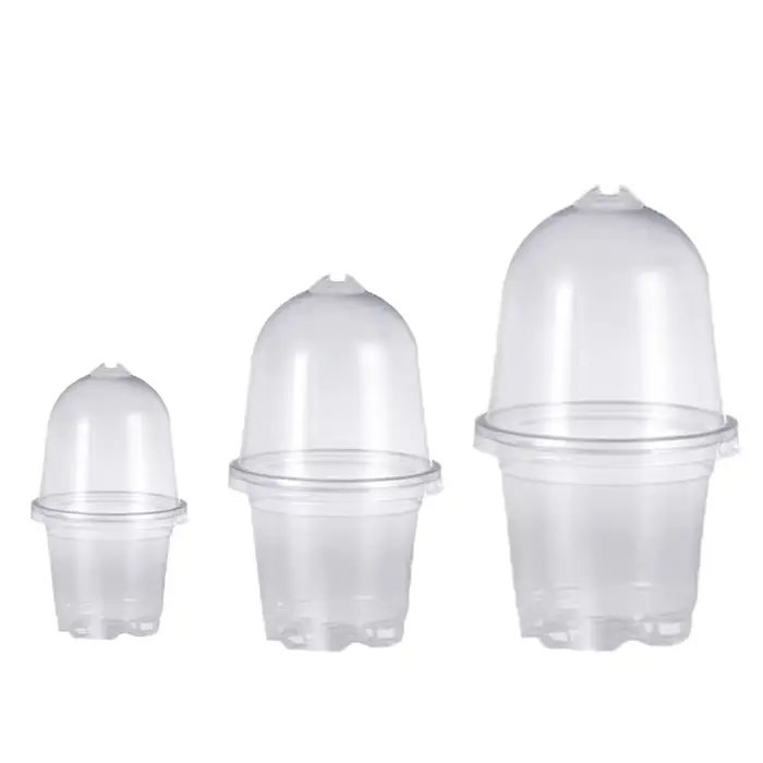 Pots transparents pour pépinière de plantes en PET avec couvercles