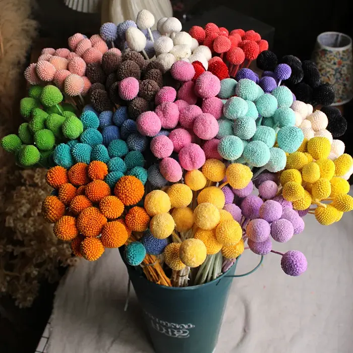 Bouquet de fleurs sèches en boule dorée