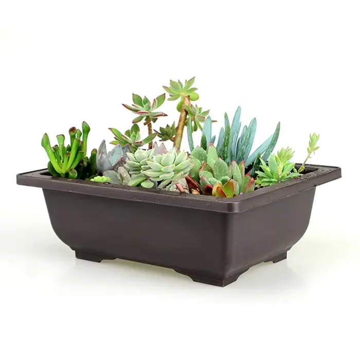 Pot de fleur en plastique