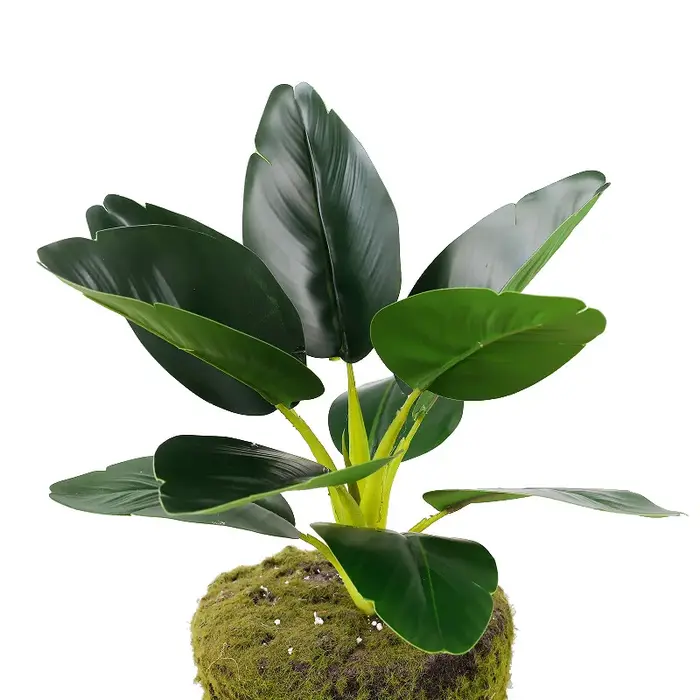 2 pièces plantes vertes artificielles en plastique feuilles de pomme Bouquet mariage Canna feuille plante Simulation fleur Auditorium décoration
