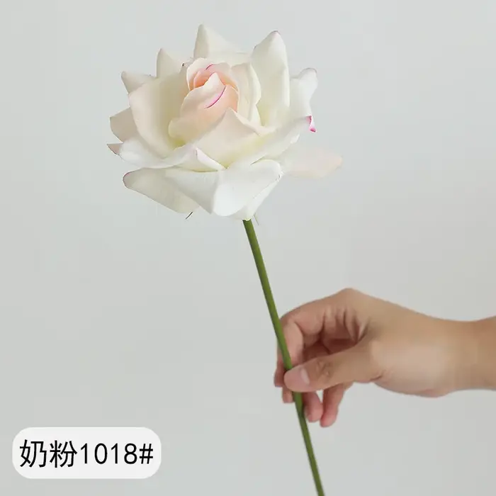 Rose à bord bouclé de 36cm de Long