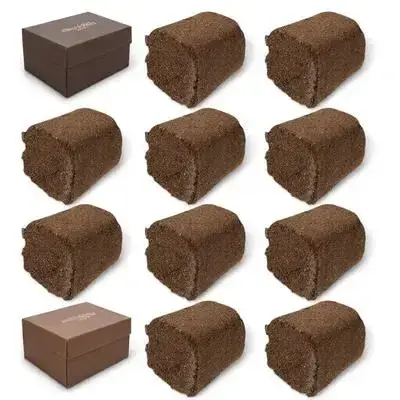 Blocs de nutriments pour plantes de pépinière, 10 pièces, haute transplantation, succès, semis de to