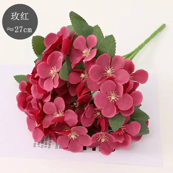 Bégonia fleur fleur sèche gaufrage plante spécimen fleurs séchées gaufrage botanique spécimen bricolage manuel décoration pétale bougies