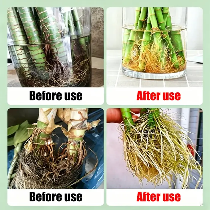 Comprimés de purification d'eau pour plantes hydroponiques