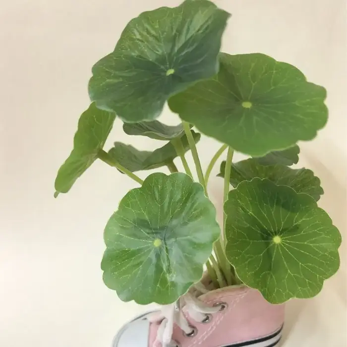 Plantes Artificielles de Simulation de Petit Cuir oral elu Annie, Argent, Faux Cuir oral elu, Décor de Vase Hydroponique, Poisson Précieux, DIY