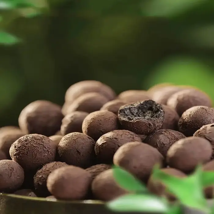 Leca IkClay Peays l pour plantes