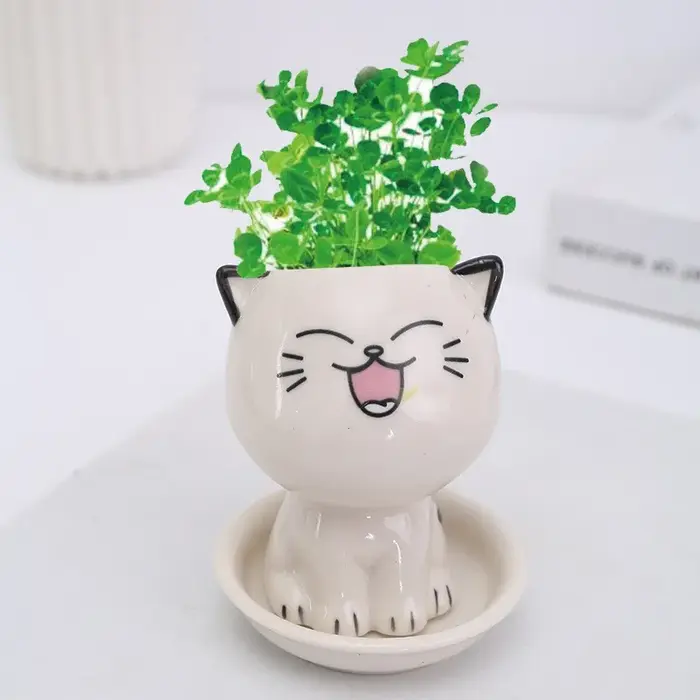Pot de fleurs en céramique en forme de chat