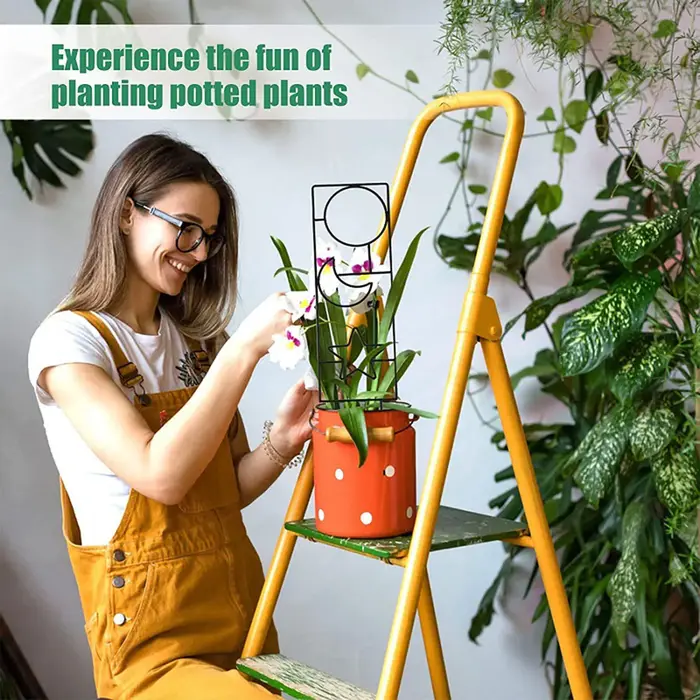 Support pour plantes grimpantes en treillis