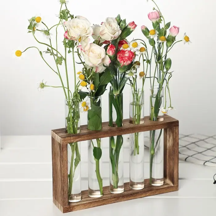 Vase hydroponique pour Tube à essai de plantes