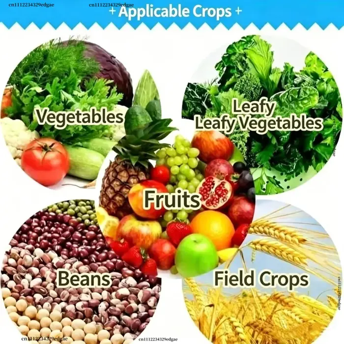 6-BA 6-Benzylaminopurine Cytokinine en poudre, régulateur de croissance des plantes, favorise la germination et la division cellulaire