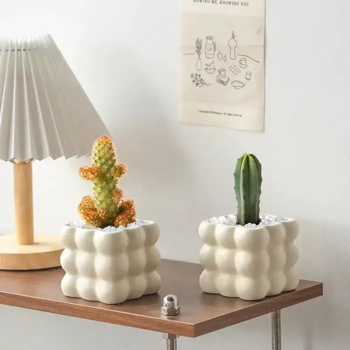 Pot de plantes en céramique de Style INS
