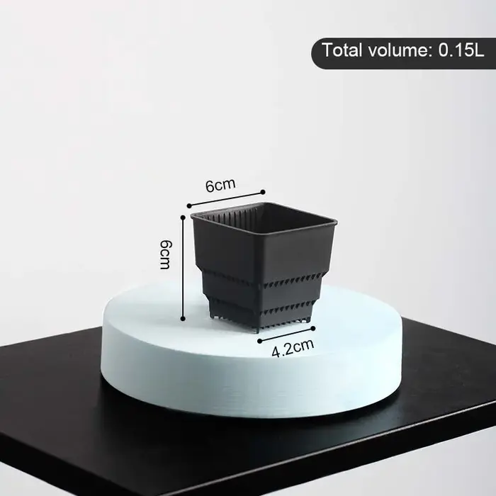 Pot de fleurs succulentes en plastique