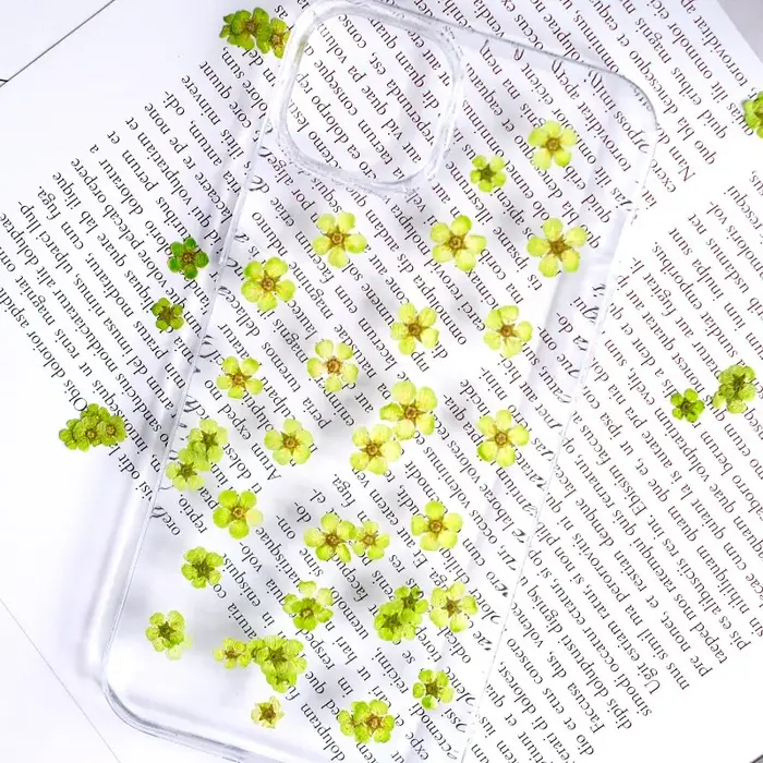 100 pièces, fleurs séchées pressées teintes Spiraea