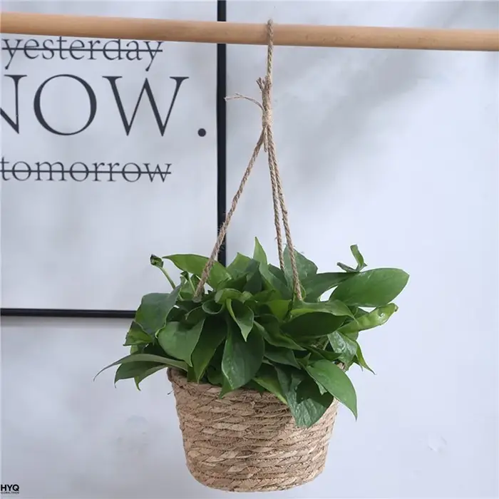 Pot suspendu de jardin en macramé