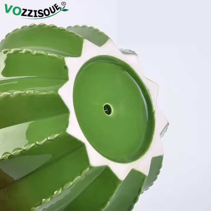 Pots de bonsaï Cactus en céramique créatifs
