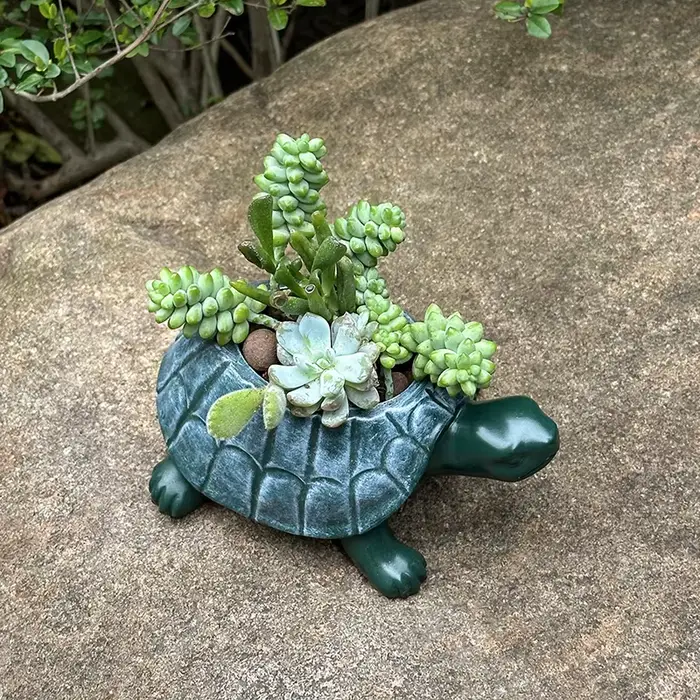 Pot de fleurs tortue mignon