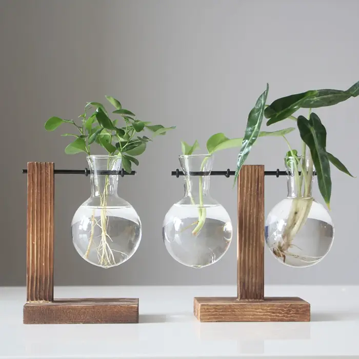 Vase à ampoules de jardinière de bureau en verre créatif