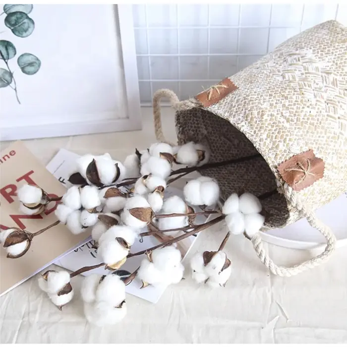 Fleurs de coton séchées naturellement