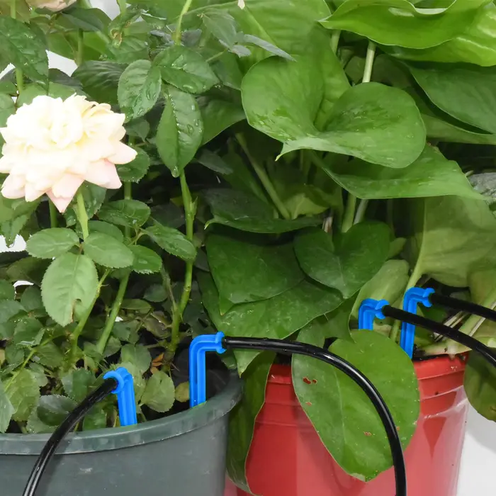 Système d'arrosage automatique de jardin, Irrigation goutte-à-goutte à 4 voies, 3/5mm, transmetteur 