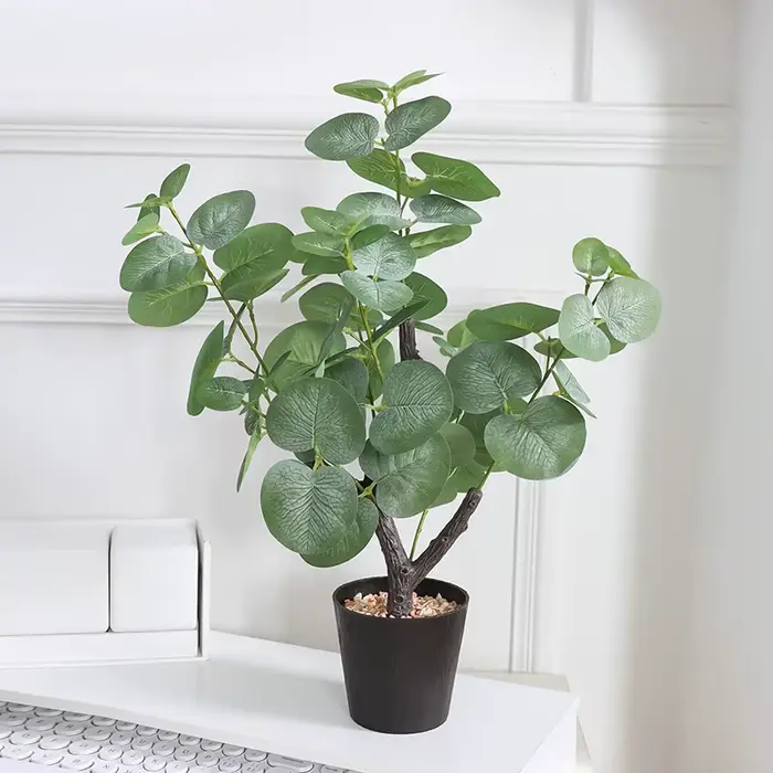 1 arbre de simulation de plante