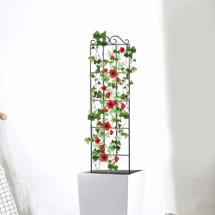 Treillis de croissance pour plantes grimpantes