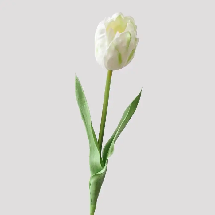 Fleur artificielle en PU, tulipe colorée au toucher réel, décoration en PU, tulipe papagein sans ent