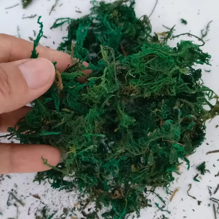 Kits de modèles de grappes d'herbe de mousse de Simulation 10g, pour scène de paysage militaire Maki
