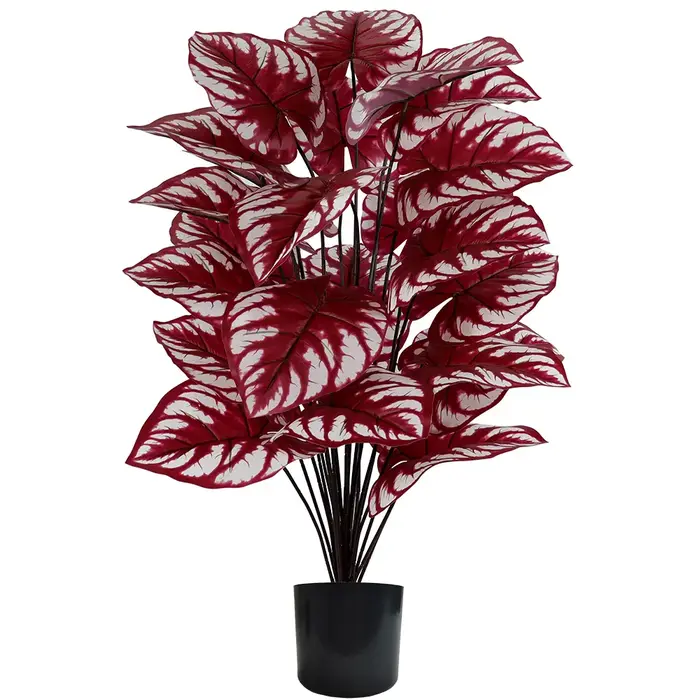 Plante artificielle à feuilles rouges avec rayures blanches