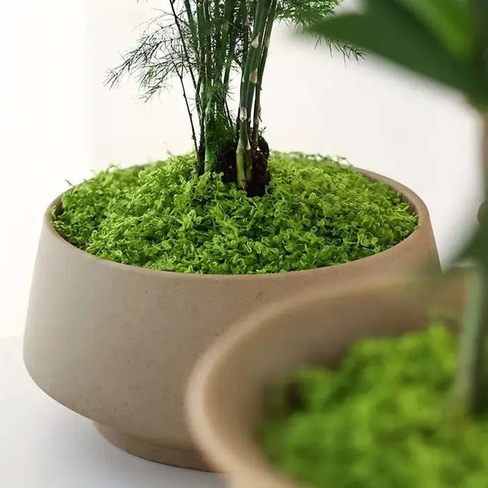 Plantes vertes artificielles