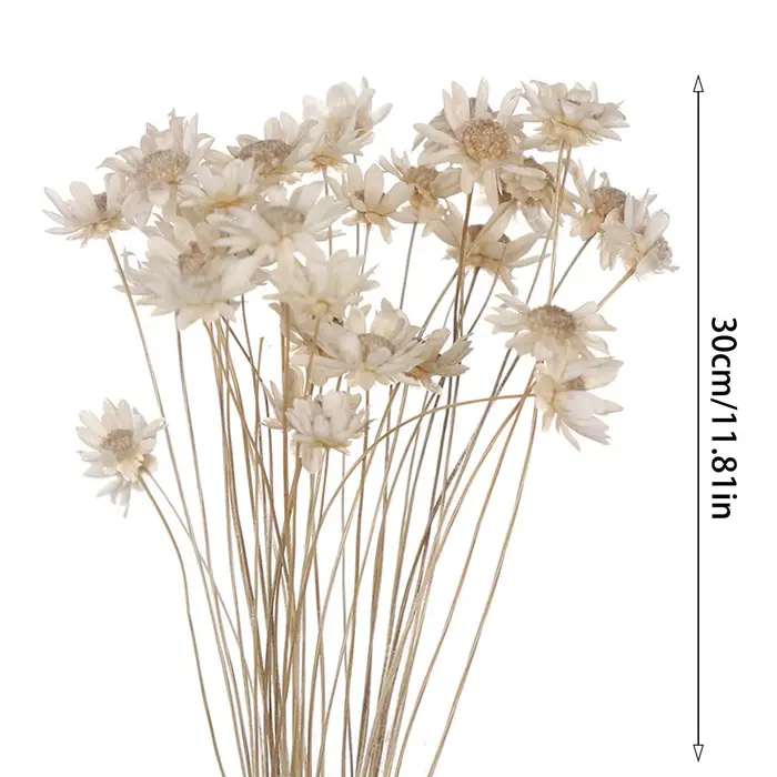 Mini bouquet de fleurs étoiles brésiliennes séchées