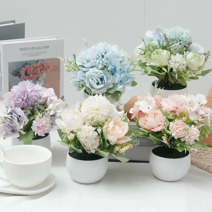 Plante d'hortensia en pot