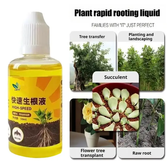 Agent d'enracinement rapide pour plantes