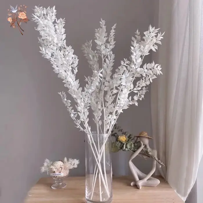 Bouquet de fleurs séchées de feuilles de Ruscus naturelles