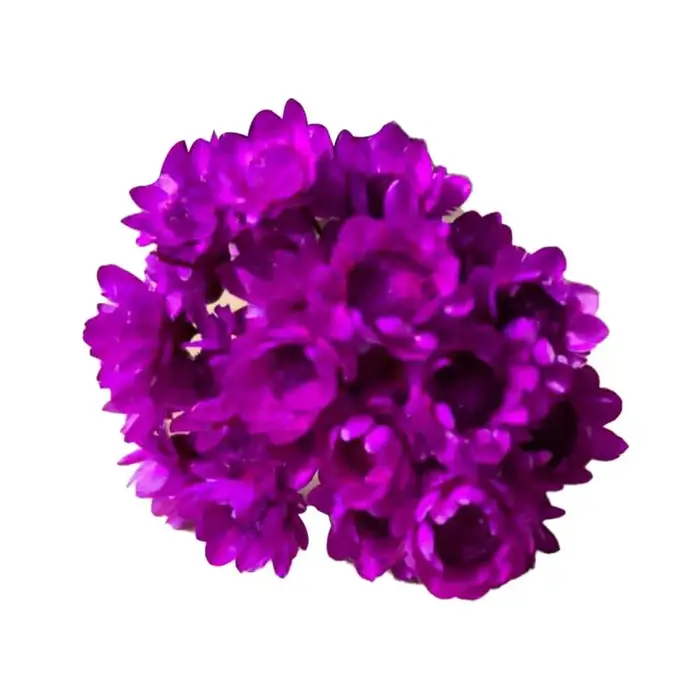 Fleurs séchées de gypsophile pour la décoration de mariage, fleurs de gypsophile vives naturelles, l