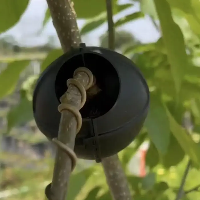 1 pièce Boîte de bouturage haute pression pour plantes