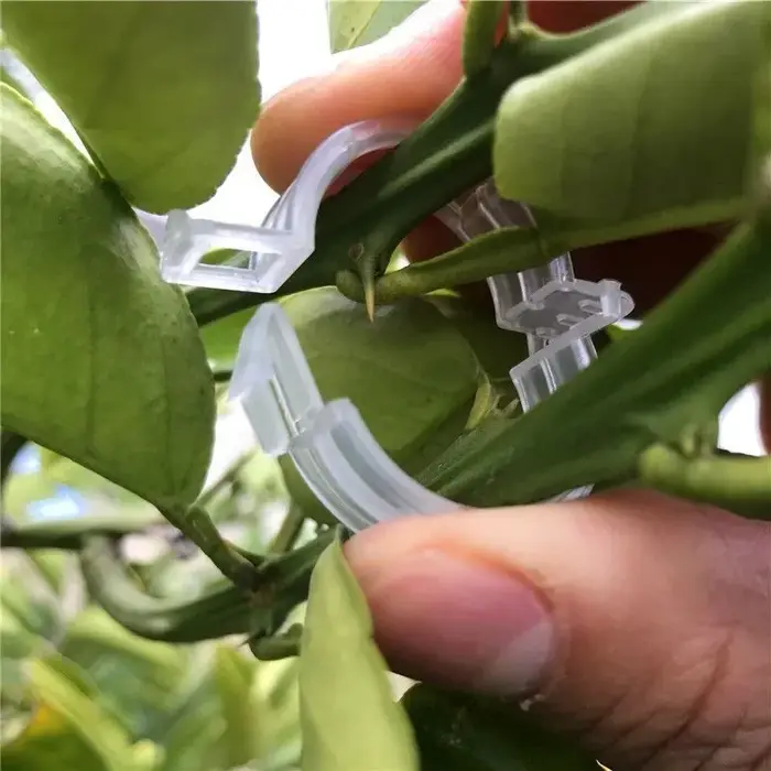 Clips de Support de plantes en plastique réutilisables
