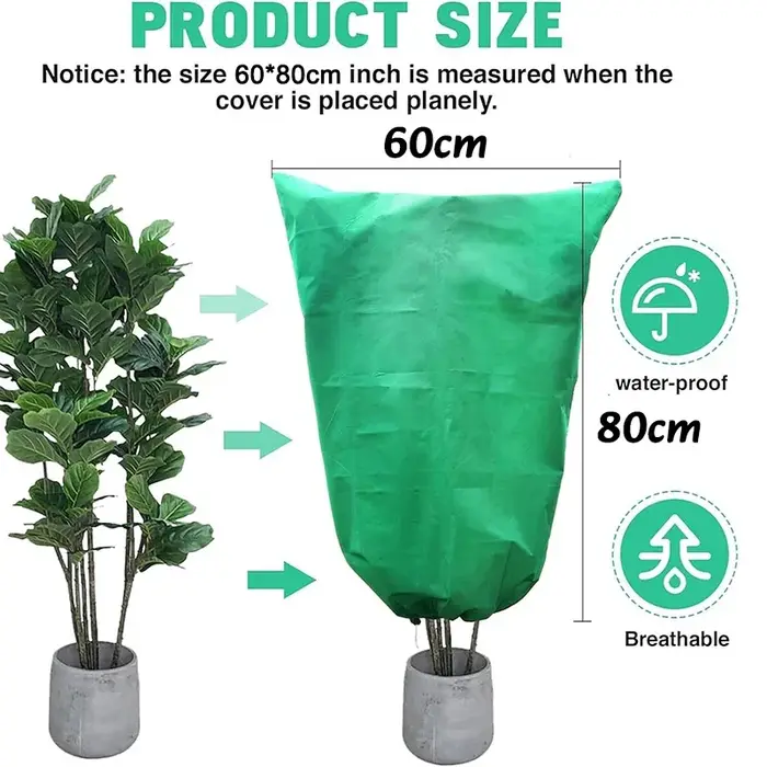 Couverture de Protection des plantes d'hiver