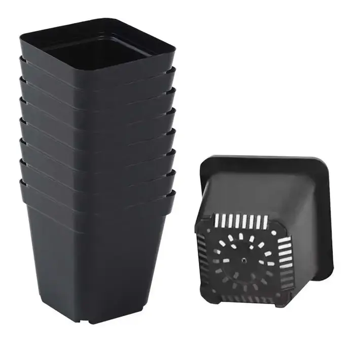 Pots de semis 50 pièces carrés plante semis-gobelet de plantation en plastique pépinière profonde arbre Pot fleur