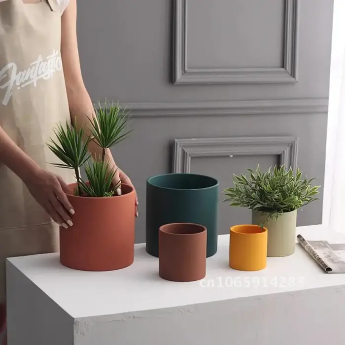 Pot de plantes en céramique nordique avec plateau