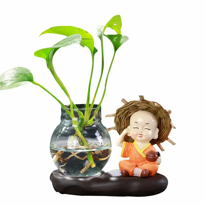 Vase en verre belle plante transparente Terrarium