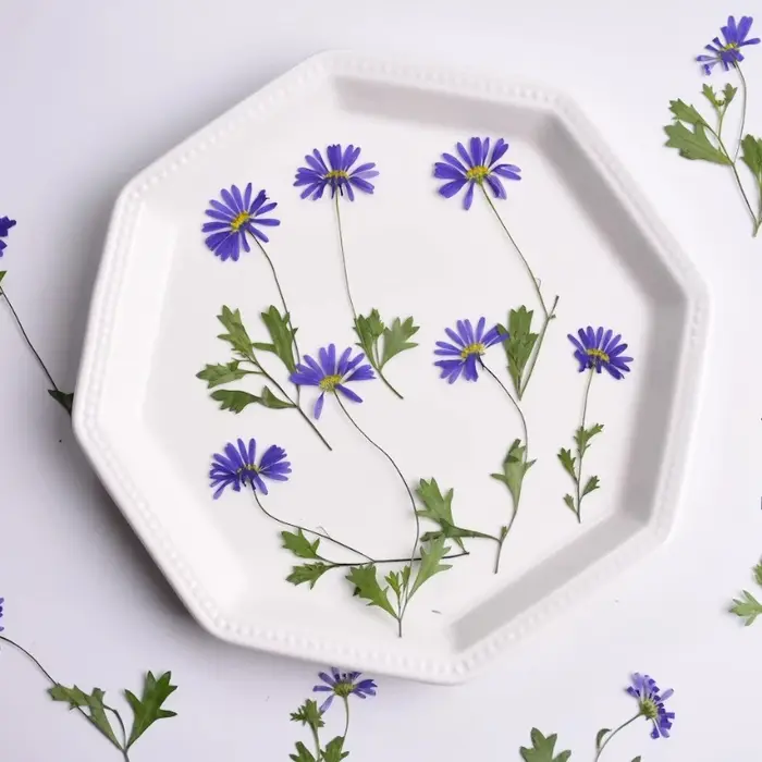 12 pièces, fleurs pressées séchées à l'iris à tige violette