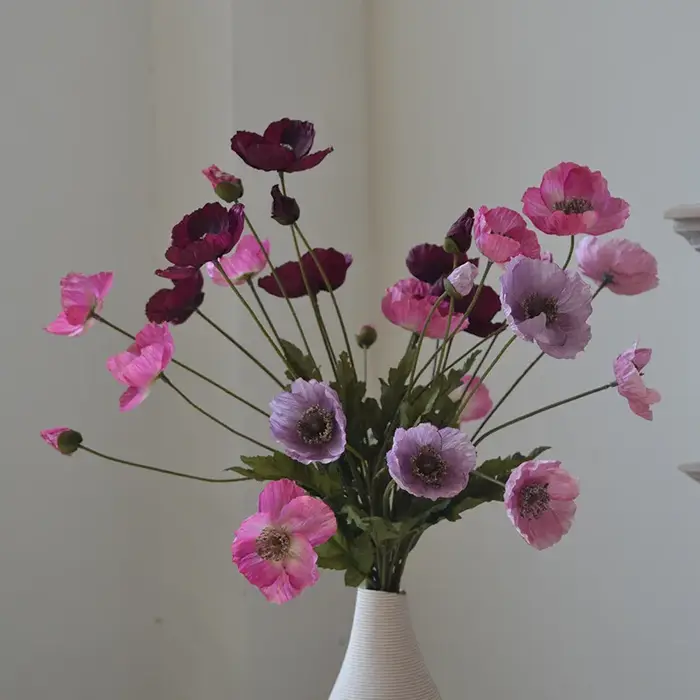 59M américain automne Vintage coquelicot fleur Tour Clap mains tenir fleurs photographie maison mariage salon