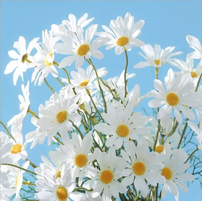 Marguerites blanches fleurs artificielles longue branche Bouquet fête de famille décoration de maria