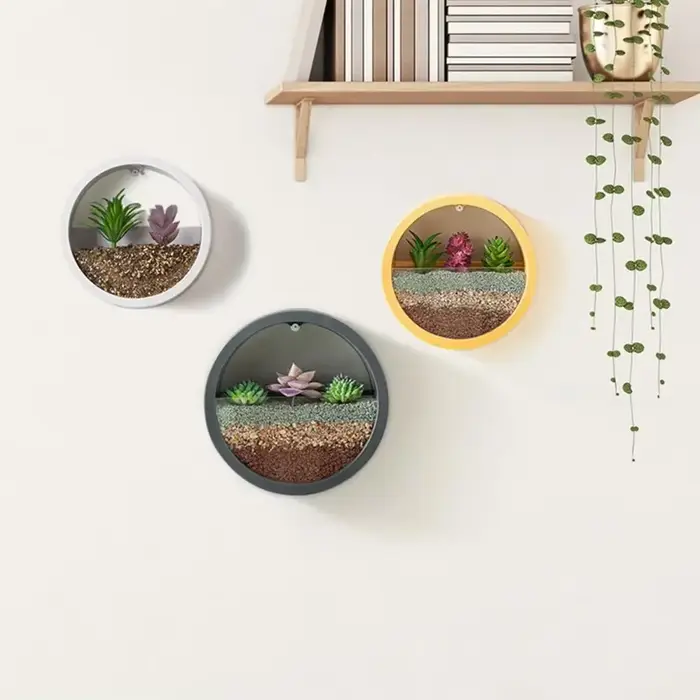Jardinière succulente ronde